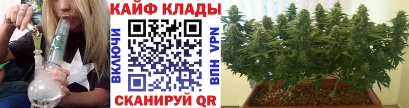 Магазины продажи наркотиков Сыктывкар Марихуана  ЭКСТАЗИ  АМФ  Гашиш  Кокаин  Альфа ПВП  МЕФ 