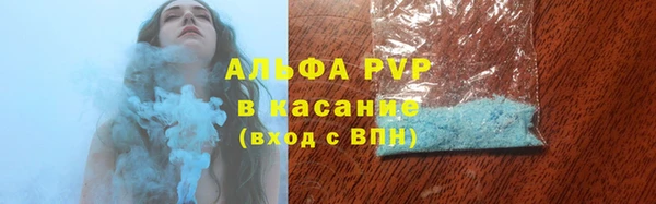 гашиш Богданович