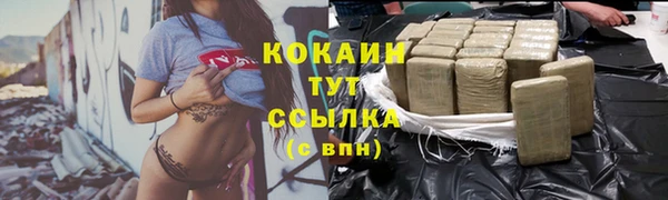 гашиш Богданович