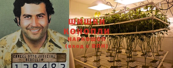 гашиш Богданович
