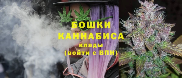 гашиш Богданович