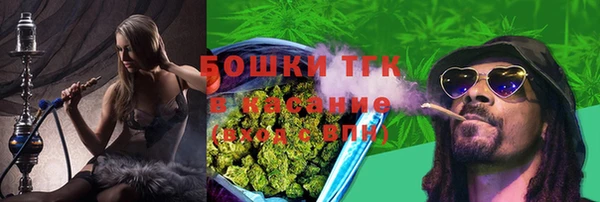 гашиш Богданович