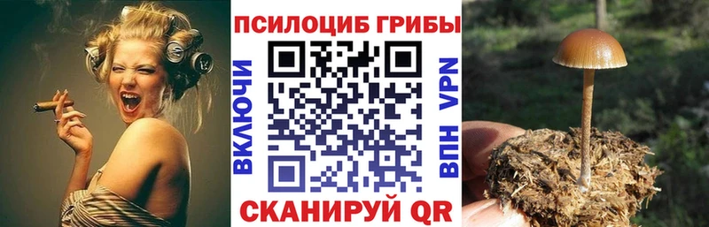 Псилоцибиновые грибы Magic Shrooms Сыктывкар