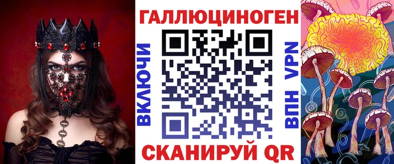 Псилоцибиновые грибы Psilocybe  Сыктывкар 